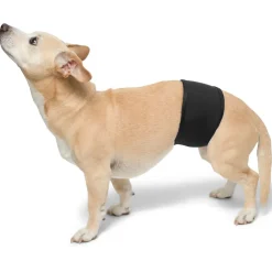 Tuga Sunwear Belly Bands|Dog Belly Band - Black