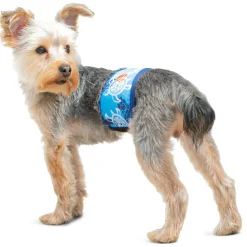 Tuga Sunwear Belly Bands|Dog Belly Band - Flaming Blue Tuga