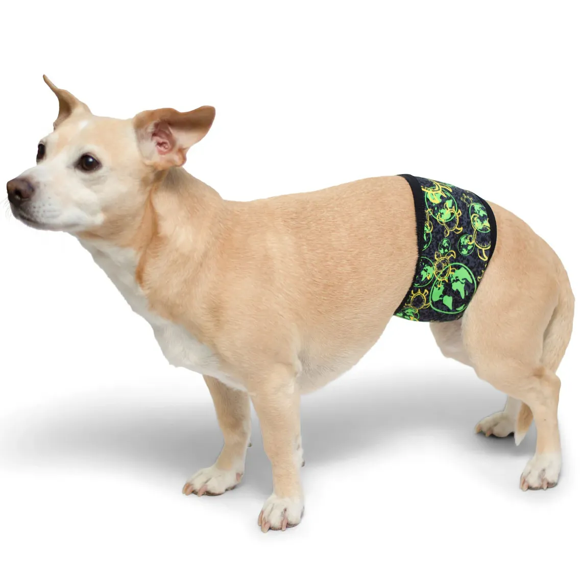 Tuga Sunwear Belly Bands|Dog Belly Band - Global Green