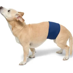 Tuga Sunwear Belly Bands|Dog Belly Band - Navy