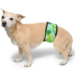 Tuga Sunwear Belly Bands|Dog Belly Band - Tropical Treasure Green