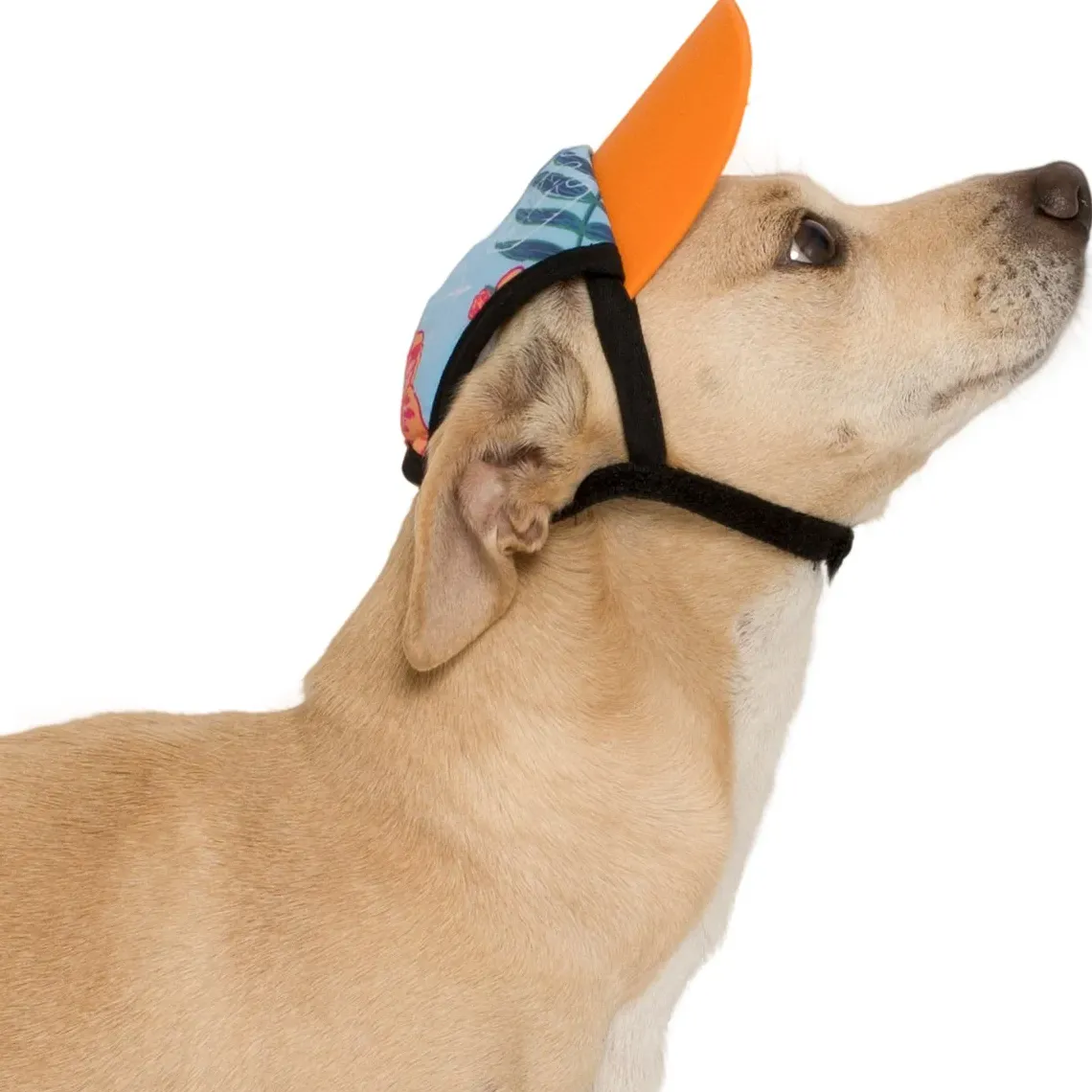 Tuga Sunwear Sun Hats|Dog Visor - Flaming Blue Tuga