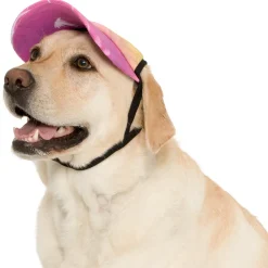 Tuga Sunwear Sun Hats|Dog Visor - Palm Tree Pink