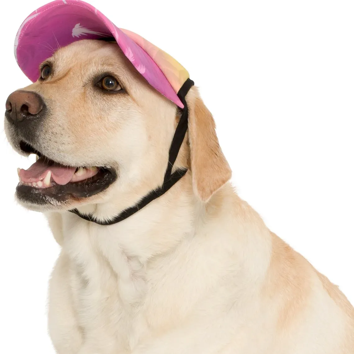 Tuga Sunwear Sun Hats|Dog Visor - Palm Tree Pink