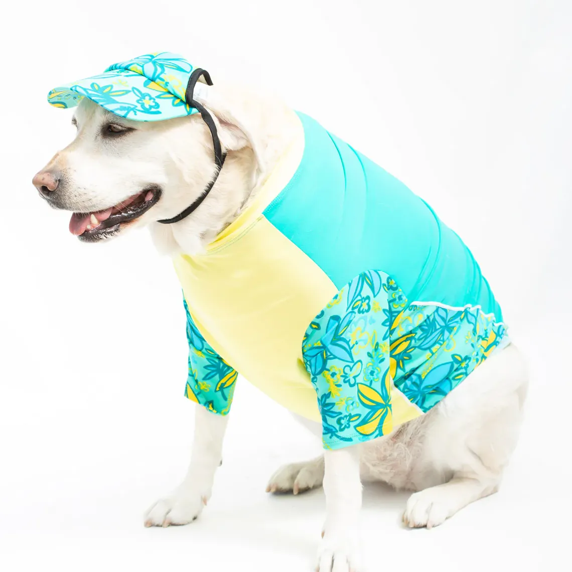 Tuga Sunwear Sun Hats|Dog Visor Sun Hat - Surf